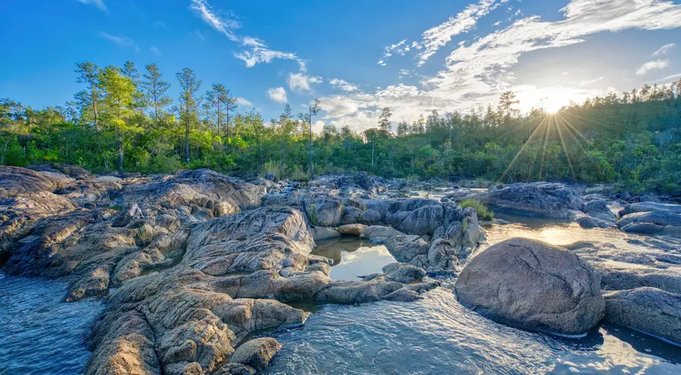 Beautiful river on pools of cascading water with pine trees in the background