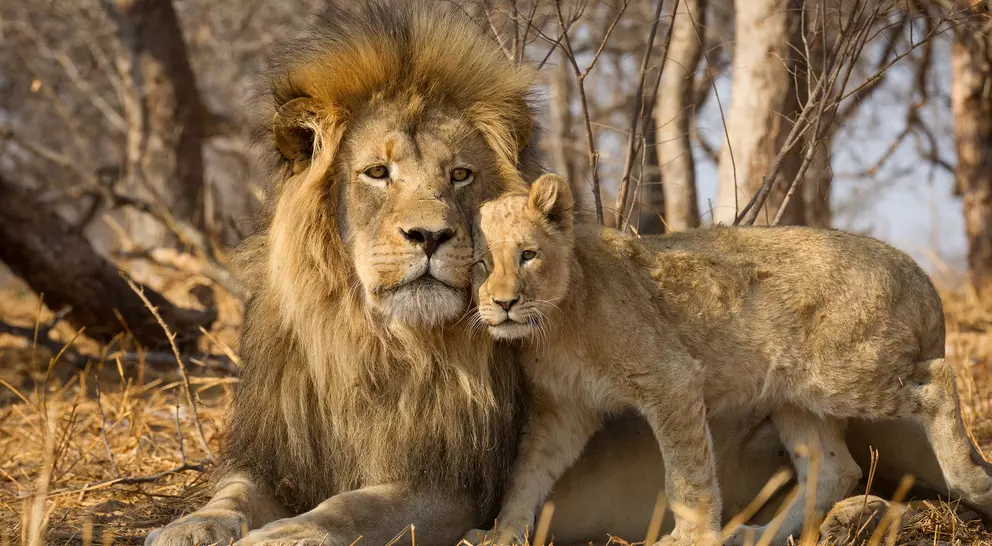 Kruger National Park