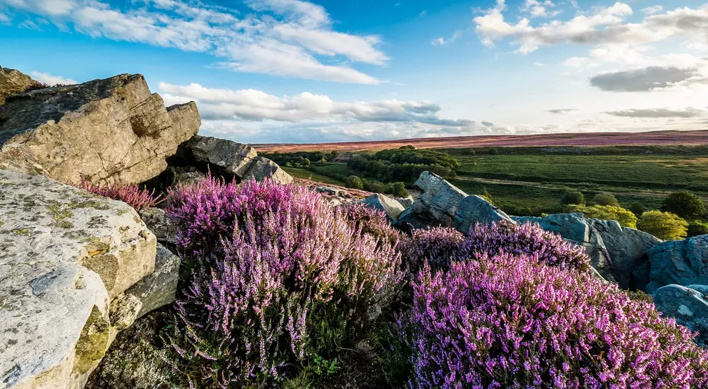 North Yorkshire Moors