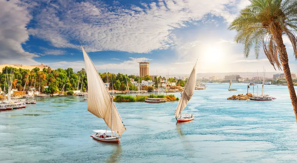 View of the Nile, feluccas and the palms, Aswan City, Egypt.
