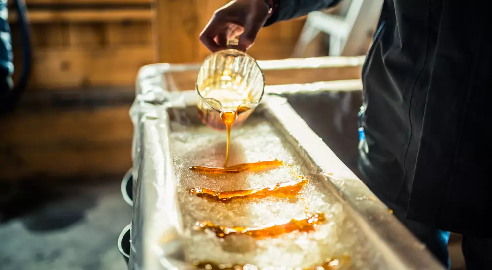 Person pouring maple syrup onto snow at sugar shack