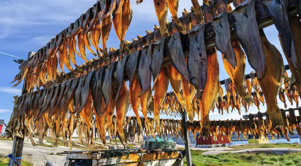 Dried fish in Rodebay settlement