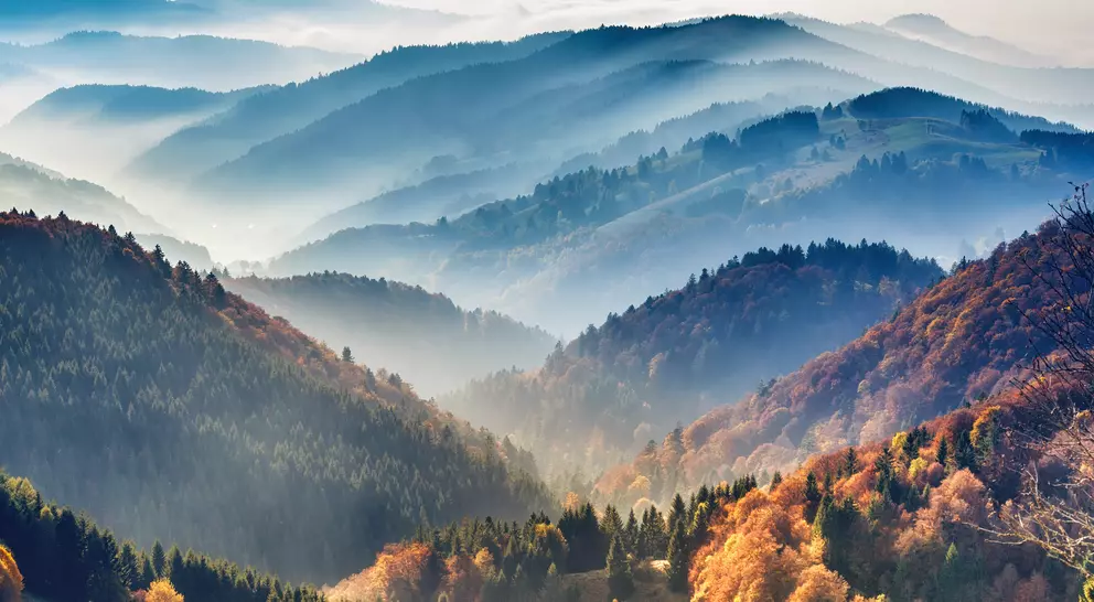 Scenic mountain landscape view on the forest, covered in fog. 