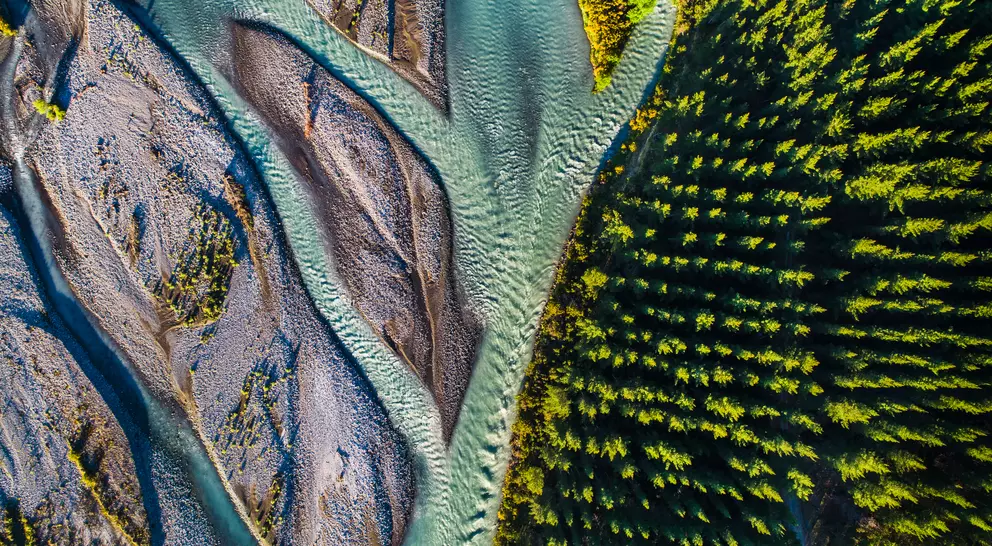 Aerial view where the river meets the forest, Wairau Valley, Wairau River, Marlborough, South Island, New Zealand.