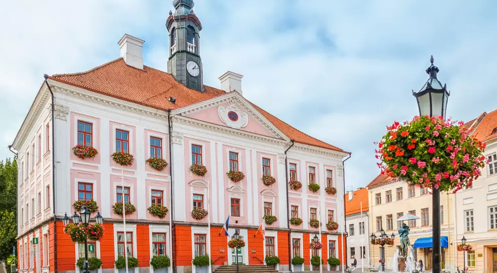 Pink and white town hall with a tower, surrounded by blooming planters and a cobblestone square on a cloudy day.