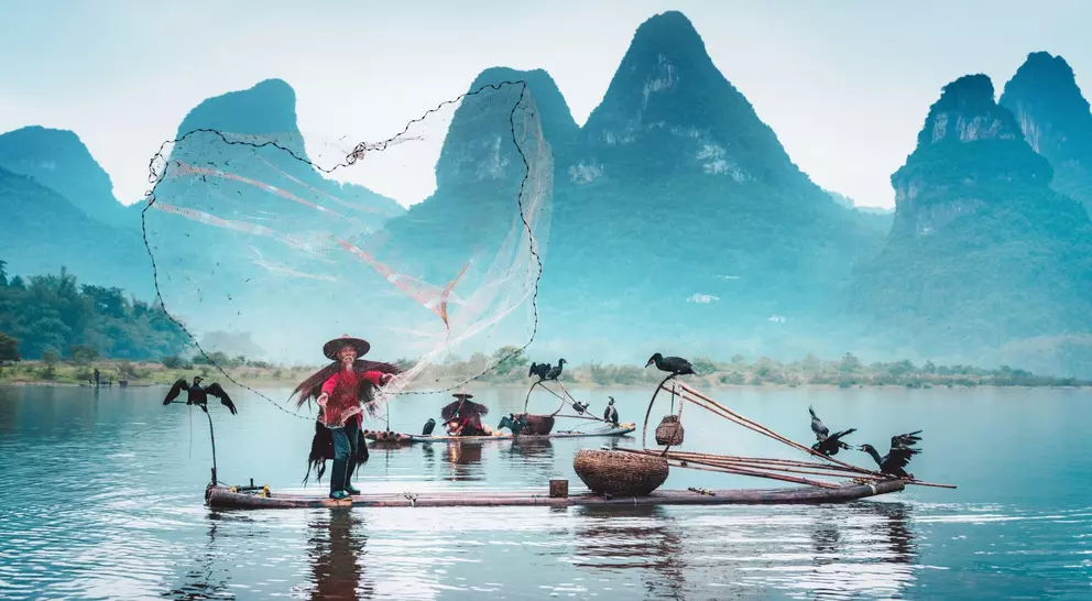 Fisherman on a bamboo raft casts a net, with cormorants perched nearby and misty mountains in the background.