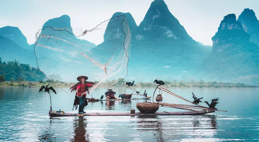 Fisherman on a bamboo raft casts a net, with cormorants perched nearby and misty mountains in the background.