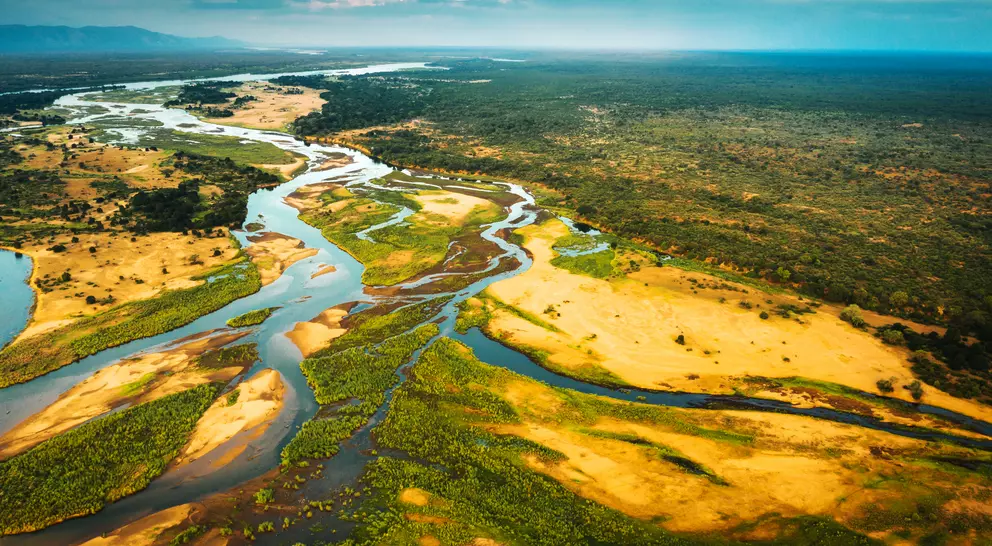 Aerial view of winding rivers through a green and golden landscape under a blue sky.
