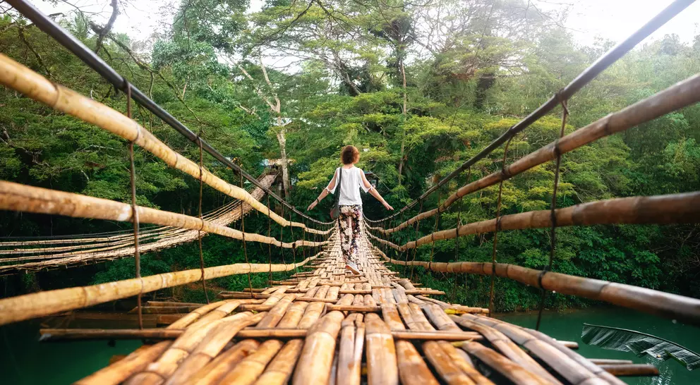 A child stands on a bamboo bridge surrounded by lush greenery, facing away from the camera.