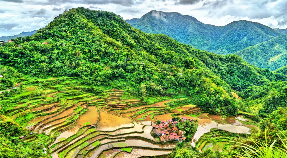 Rice Terraces with rolling mountains in the background