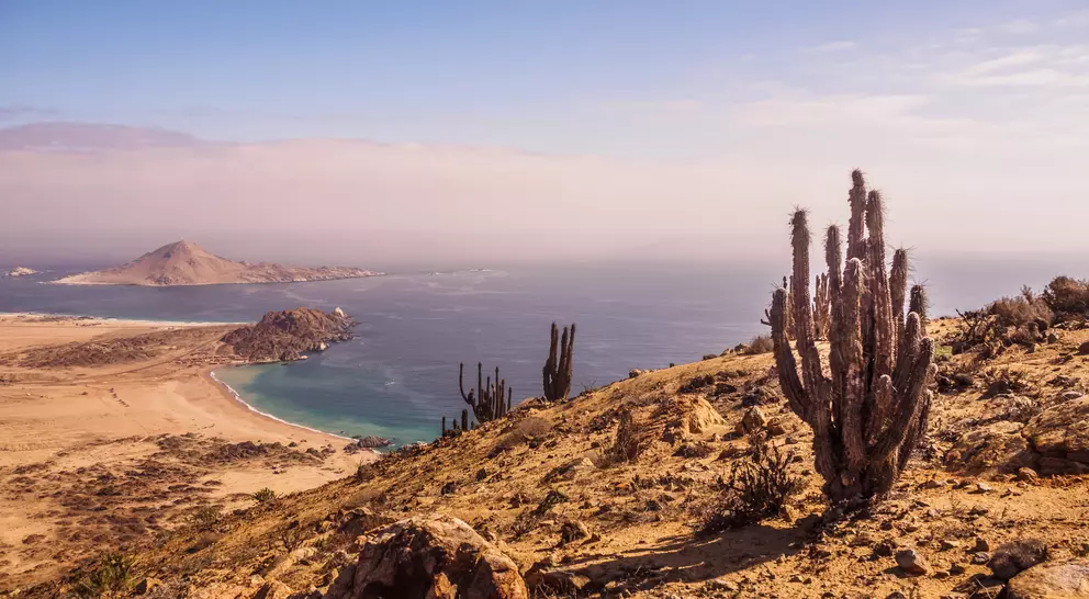Coast of Pan de Azucar National Park in Chile. Atacama desert with ocean coast and cactus. desert landscape