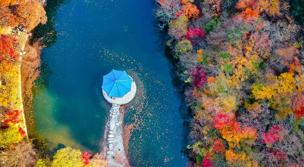 Aerial view of Autumn season trees changing color at Naejangsang, South Korea