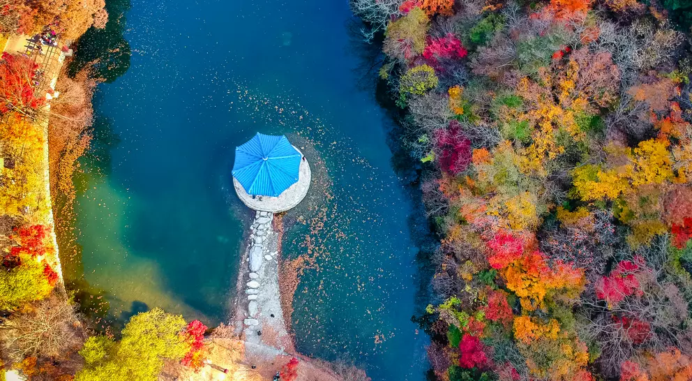 Aerial view of Autumn season trees changing color at Naejangsang, South Korea