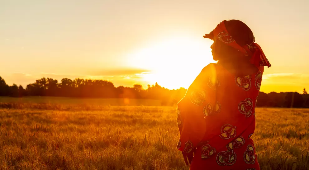 A silhouette of a person in a red outfit stands in a golden field at sunset, with trees in the background.