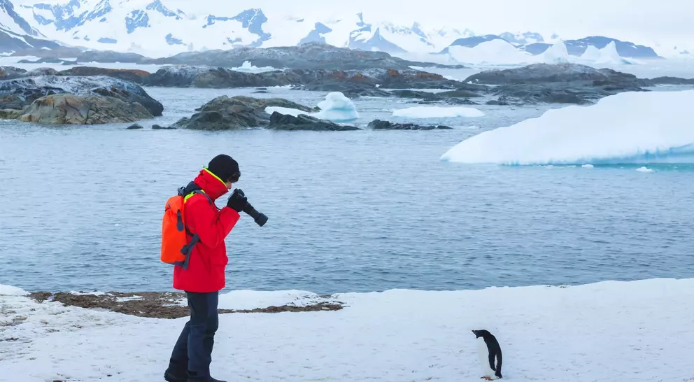 A person in a red jacket photographs a penguin near icy waters and snowy mountains in a polar landscape.