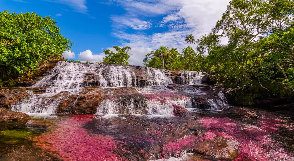 For a few weeks, the Caño Cristales river transforms into a flowing rainbow of colors. Part of National Park Serrania de la Macarena and accessible from the nearby town of La Macarena