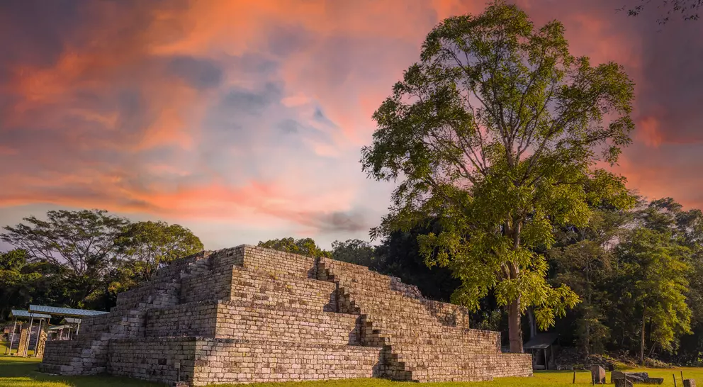 Mayan pyramid next to a tree at the Copán Ruinas temples in a beautiful orange sunrise