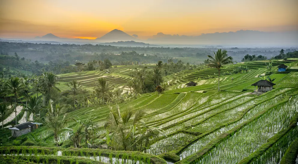 Sunrise at the Atiluwih Rice Terraces located at Tabanan North Bali