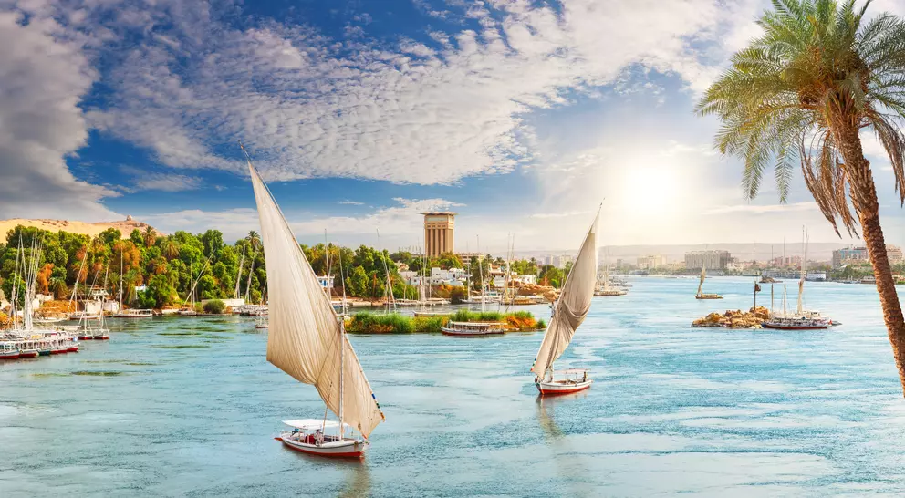 View of the Nile, feluccas and the palms, Aswan City, Egypt.