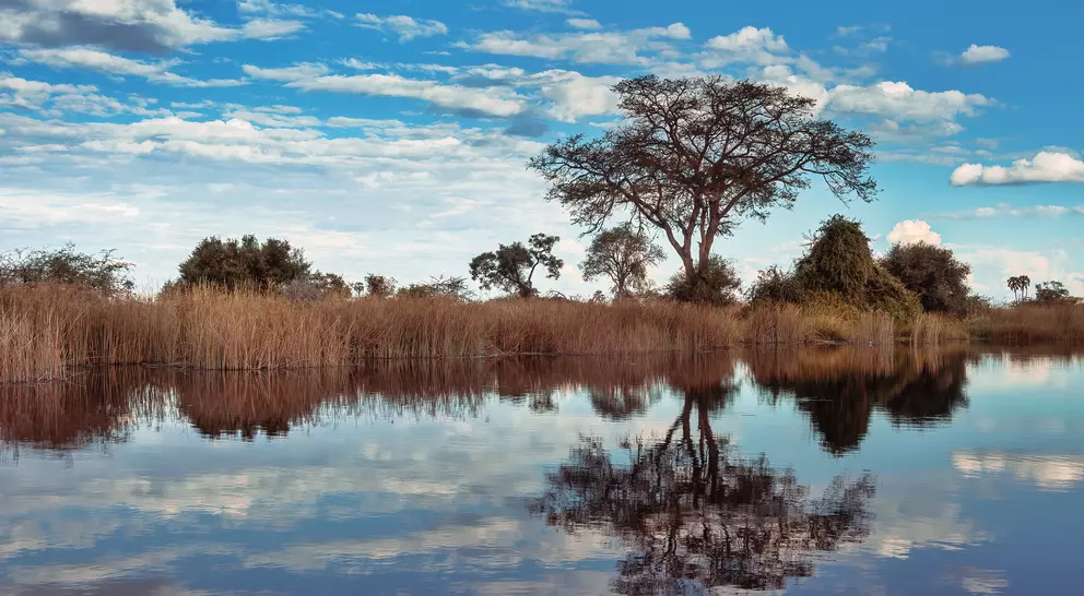 Beautiful scenery with grasses and trees reflected in the water during the rainy season