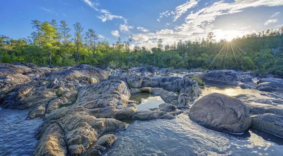 Beautiful river on pools of cascading water with pine trees in the background