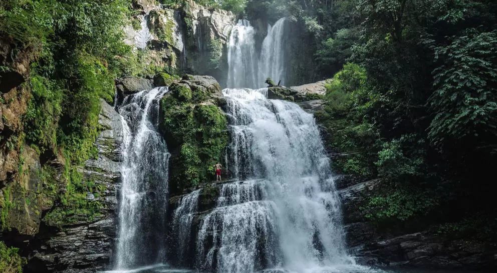 Tall beautiful waterfalls in a lush green rainforest 