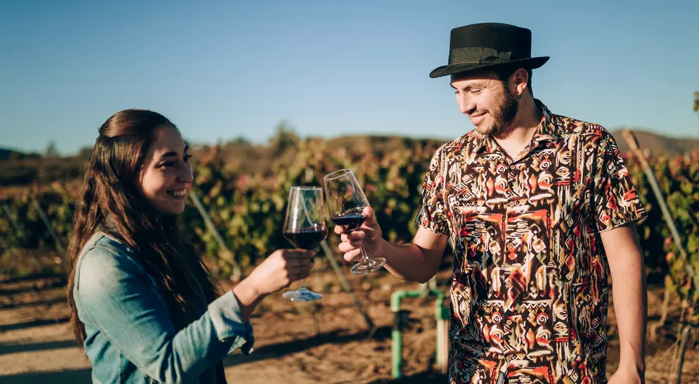 A man and woman clink their wine glasses together in a vineyard, smiling against a clear blue sky.