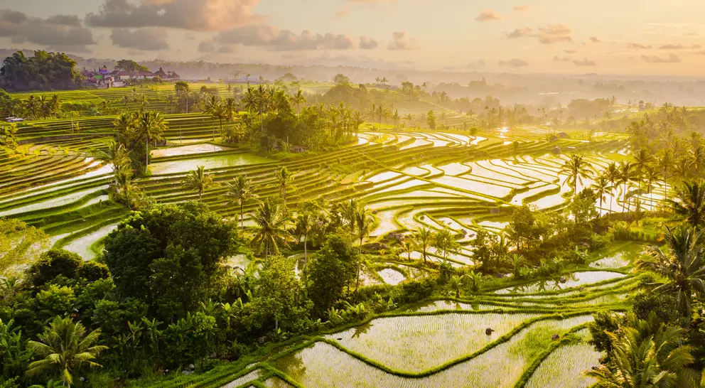 Sunrise aerial view of early morning on Jatiluwih Rice Terraces
