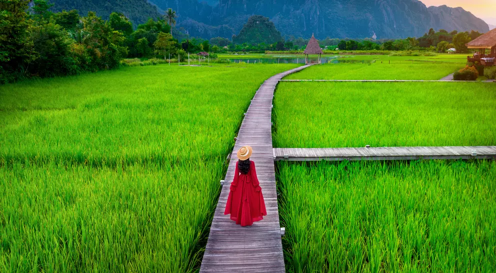A woman in a red dress walks along a wooden path through vibrant green rice fields with mountains in the background.