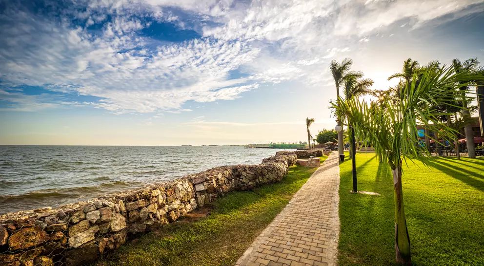 Sun setting behind tropical palm trees, drawing warm shadows on the meadow next to the shoreline of Lake Victoria. A pedestrian walkway leading the way along the shore