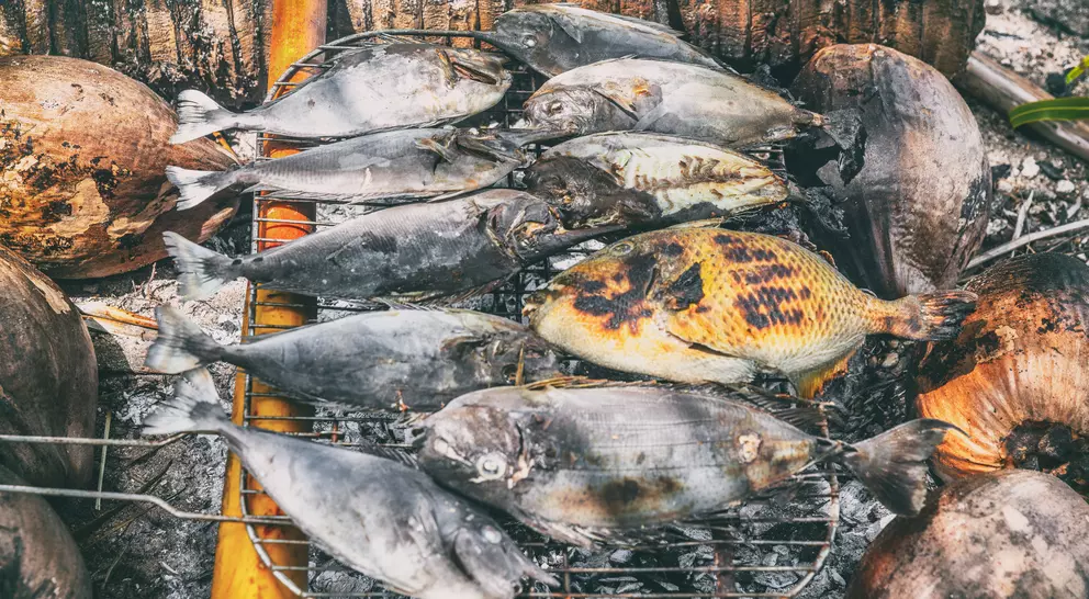 Grilled fish resting on a metal grate, surrounded by coconut shells and ashes, indicating a cooking process outdoors.