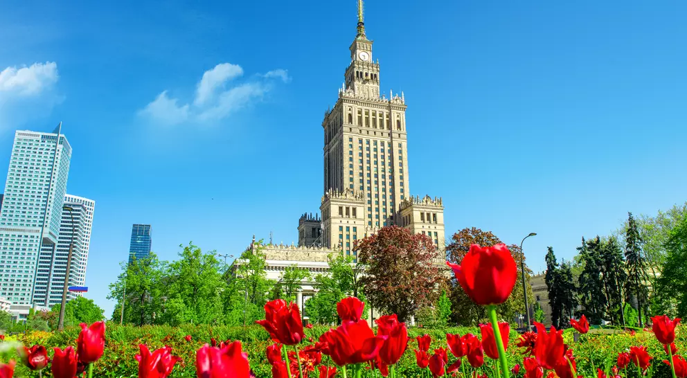 Varied red tulips in the foreground with the iconic Palace of Culture and Science in Warsaw against a blue sky.