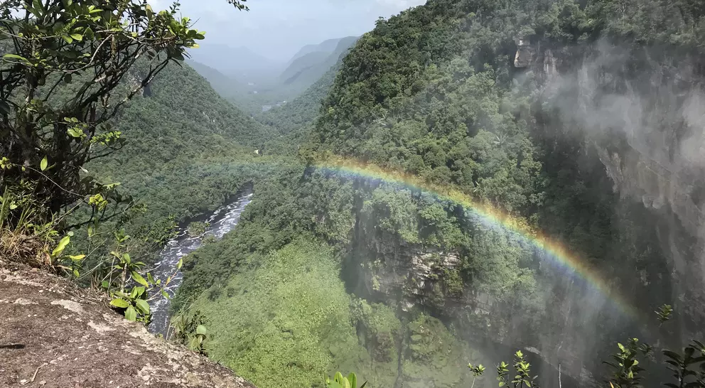 Rainbow over Kaiteur Valley