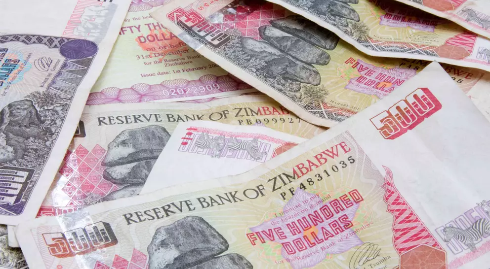 A close-up of various Zimbabwean banknotes, including a prominent five hundred dollar note, arranged on a flat surface.