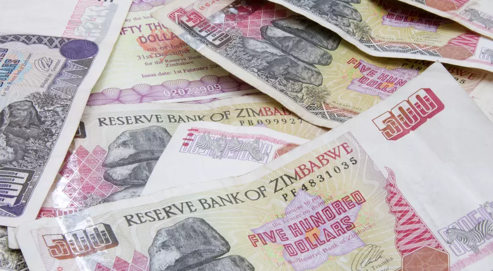 A close-up of various Zimbabwean banknotes, including a prominent five hundred dollar note, arranged on a flat surface.