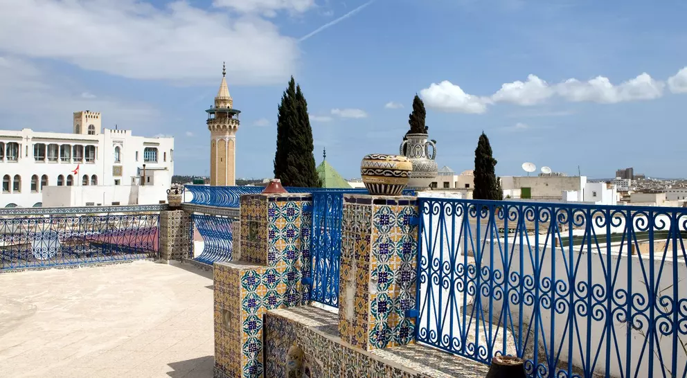 View of traditional architectures from a Medina terrace