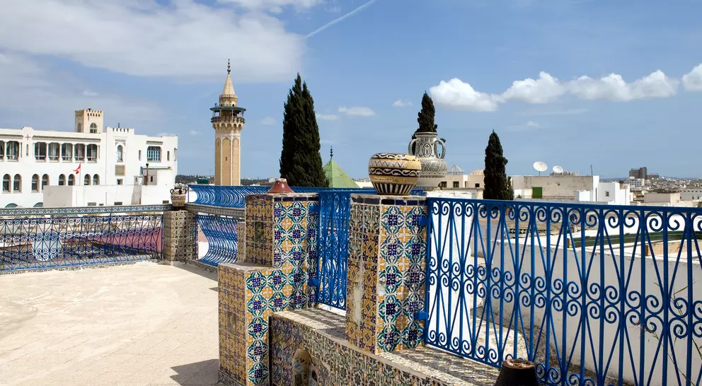 View of traditional architectures from a Medina terrace