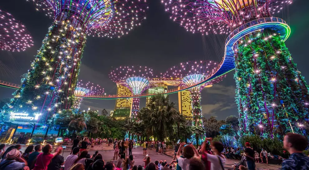 Illuminated Supertree Grove in Singapore at night, with a crowd enjoying the vibrant light display among lush greenery.
