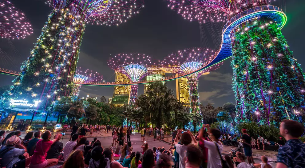 Illuminated Supertree Grove in Singapore at night, with a crowd enjoying the vibrant light display among lush greenery.