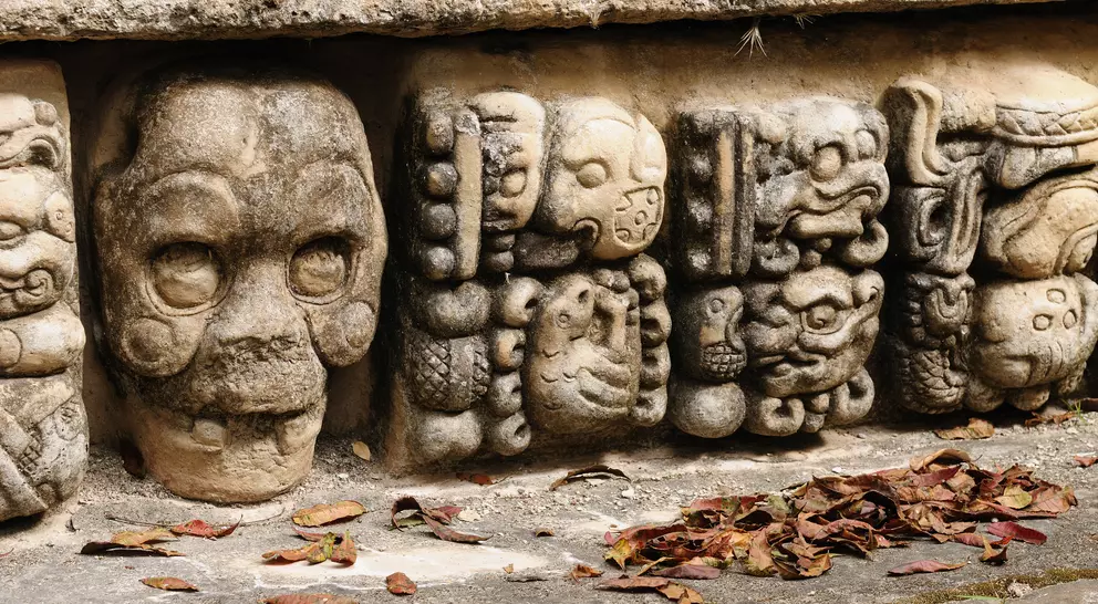 Carved stone sculptures with intricate faces and figures, partially covered by fallen leaves.