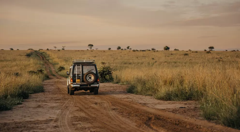 A four-wheel drive vehicle on a dirt path in a grassy savanna at sunset.