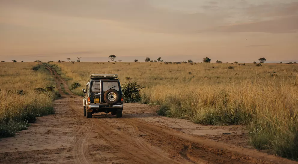 A four-wheel drive vehicle on a dirt path in a grassy savanna at sunset.