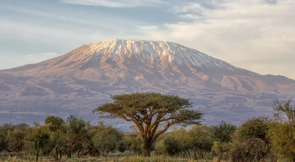 The classic view of Mt Kilimanjaro in Tanzania from the park
