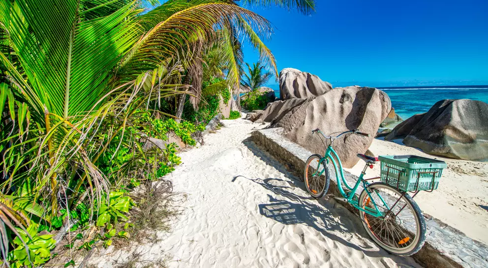 Bicycle parked on a sandy path beside lush greenery and large rocks, with a bright blue ocean in the background.