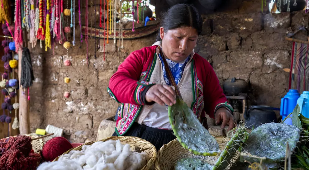 A woman works with cactus fibers and natural dyes in a craft workshop, surrounded by colorful decorations and materials.