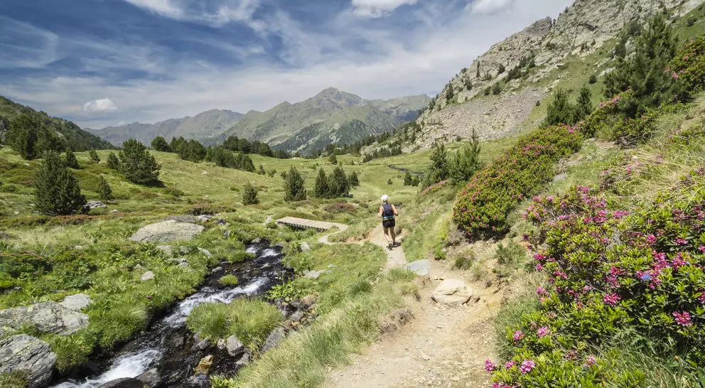 A hiker walks along a trail beside a stream, surrounded by green hills and blooming flowers under a blue sky.