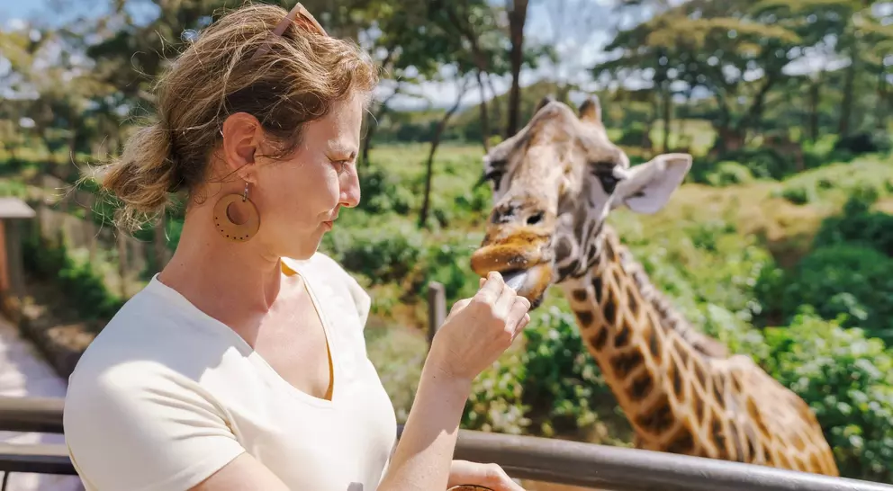 A woman feeds a giraffe from a balcony in a lush outdoor setting.