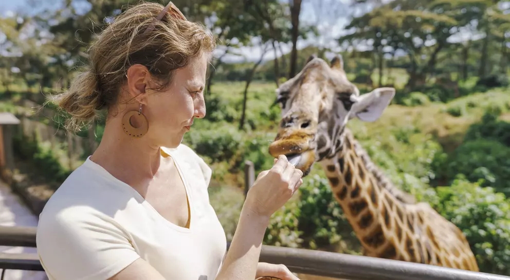 A woman feeds a giraffe from a balcony in a lush outdoor setting.