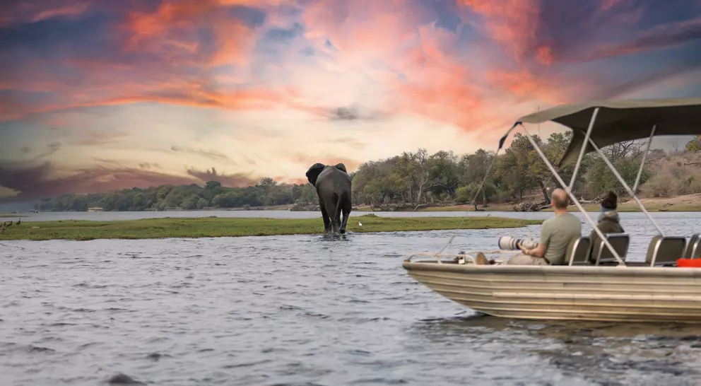 A boat with two people floats on water, watching an elephant near the shore during a colorful sunset.
