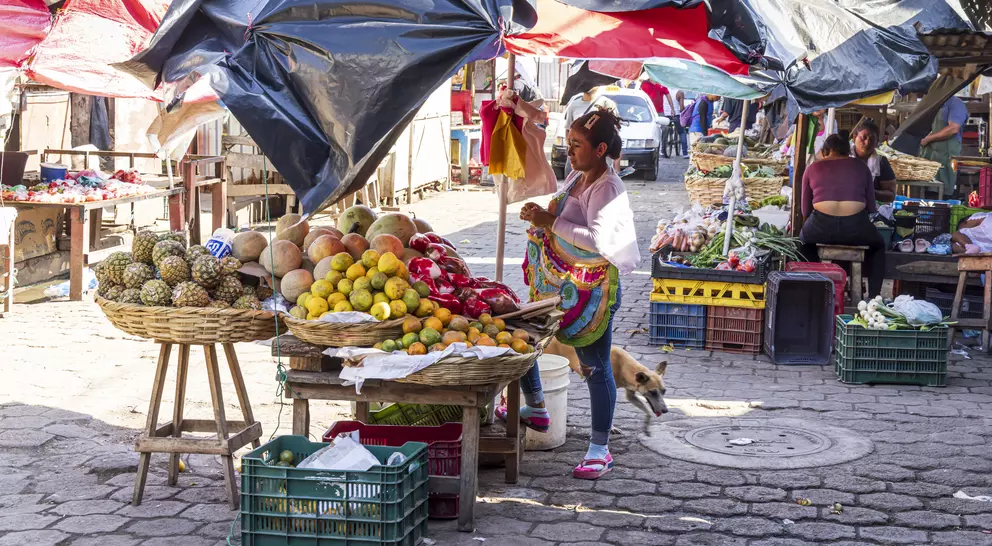 A bustling market scene with a vendor selling fruits under colorful tarps, while a dog wanders nearby.